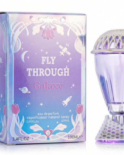 Fly through Galaxy