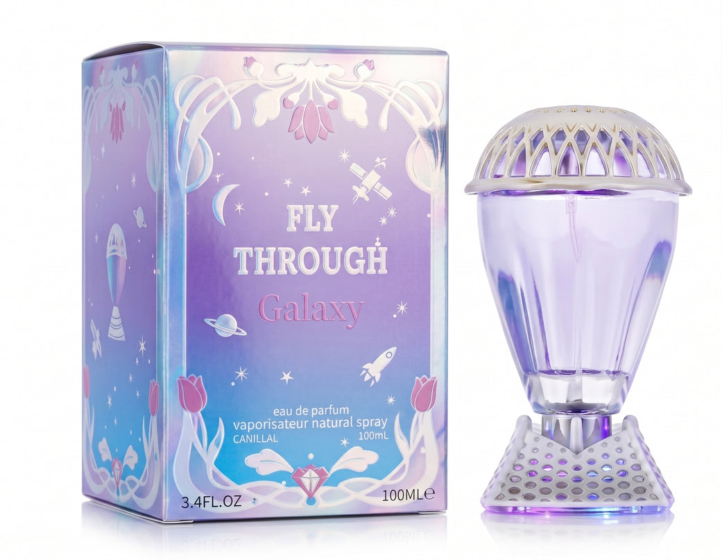 Fly through Galaxy